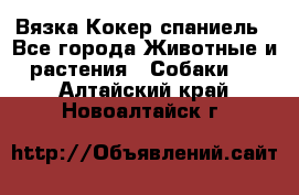 Вязка Кокер спаниель - Все города Животные и растения » Собаки   . Алтайский край,Новоалтайск г.